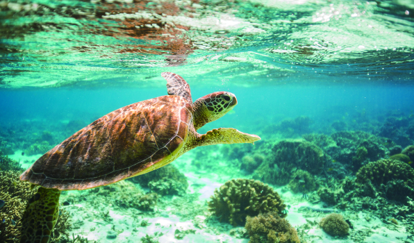 廃棄物リサイクルの工程を表す写真